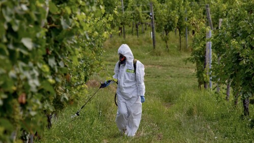 Ager-Bi Applicazione in Campo (16).jpg